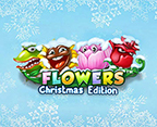 Flowers Christmas Edition